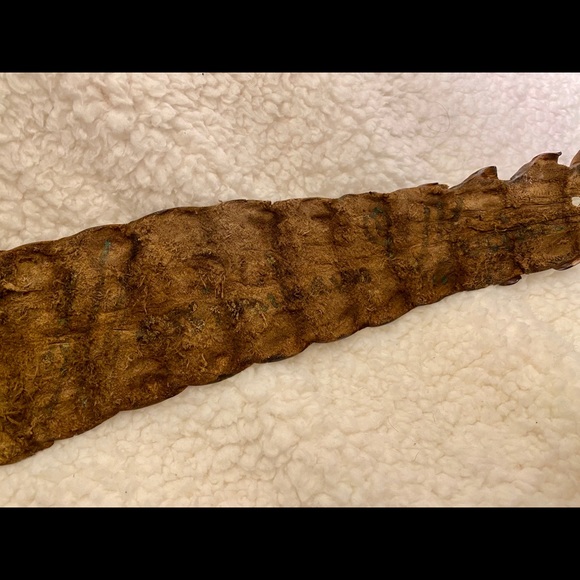 Massimilliano Musina Genuine Nile crocodile belt - Picture 5 of 6